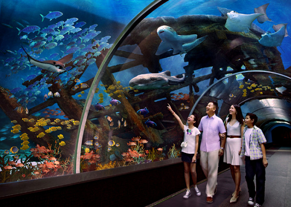 KỲ NGHỈ 3 NGÀY 2 ĐÊM TẠI RESORT WORLD SENTOSA